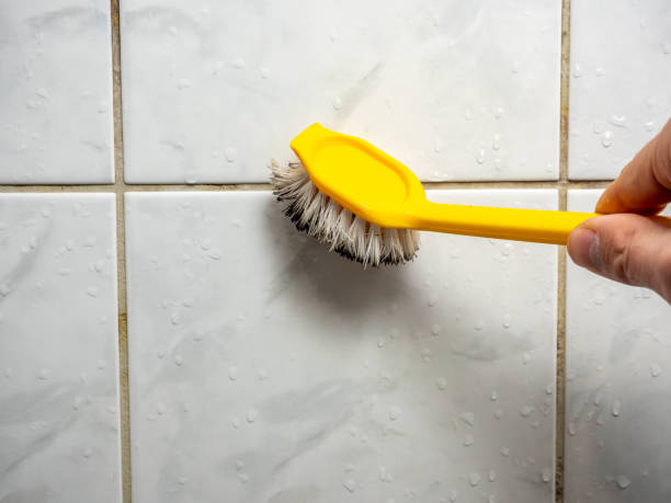 Best Water Damage Restoration  in Anson, TX