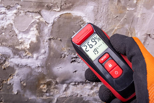 Best Mold Testing  in Anson, TX
